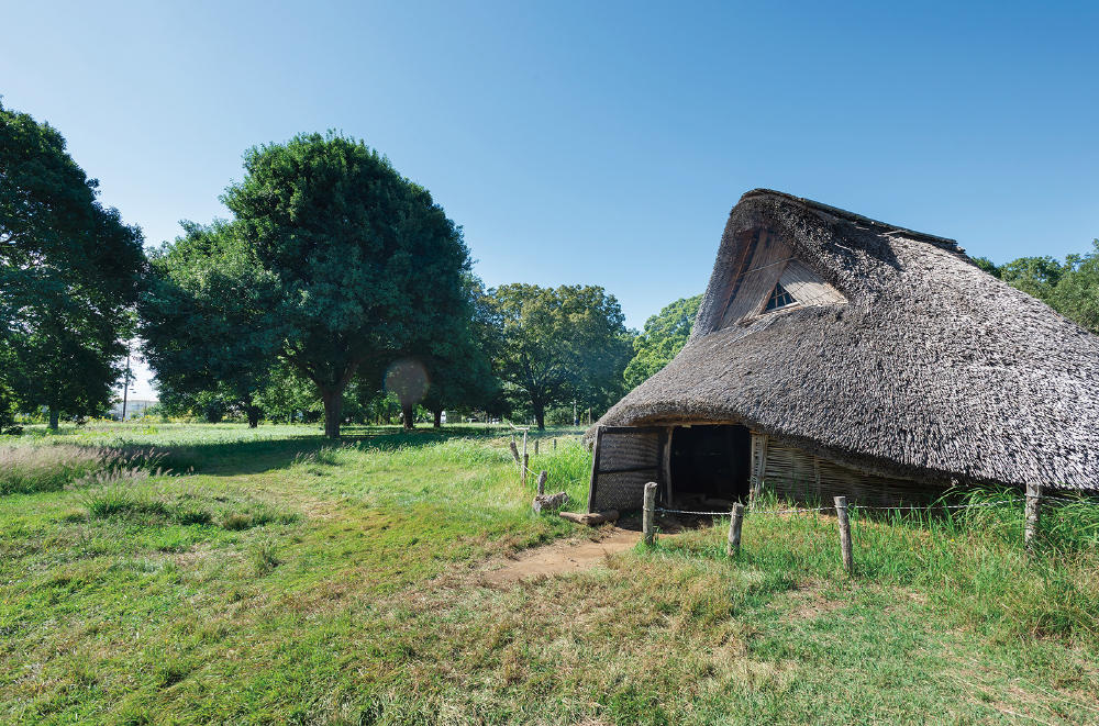 加曽利貝塚縄文遺跡公園