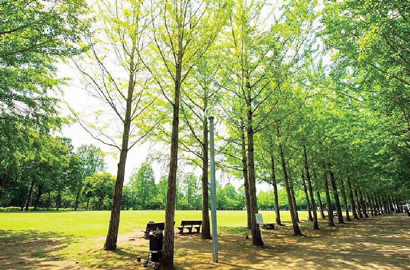 科学万博記念公園