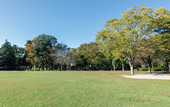 かつらぎ公園