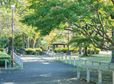 かつらぎ公園