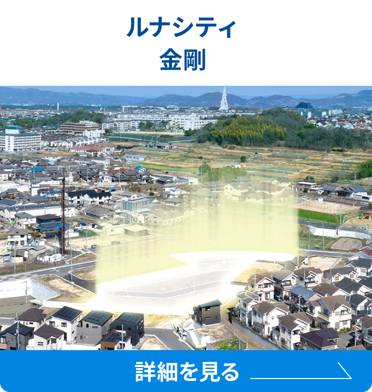 ルナシティ金剛